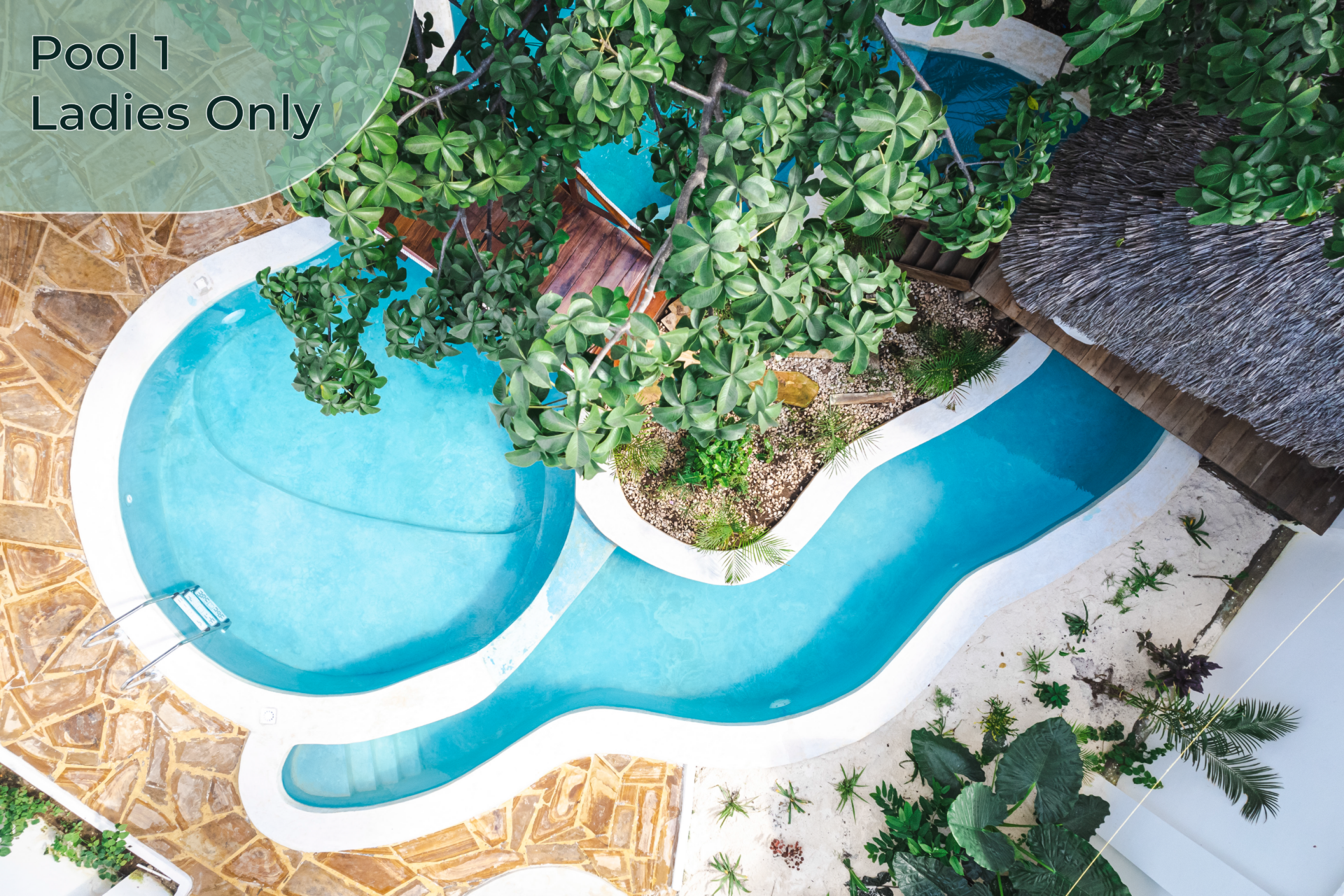 Exclusive ladies-only swimming pool at Tasneem Hotel Zanzibar, offering a private and serene environment for relaxation
